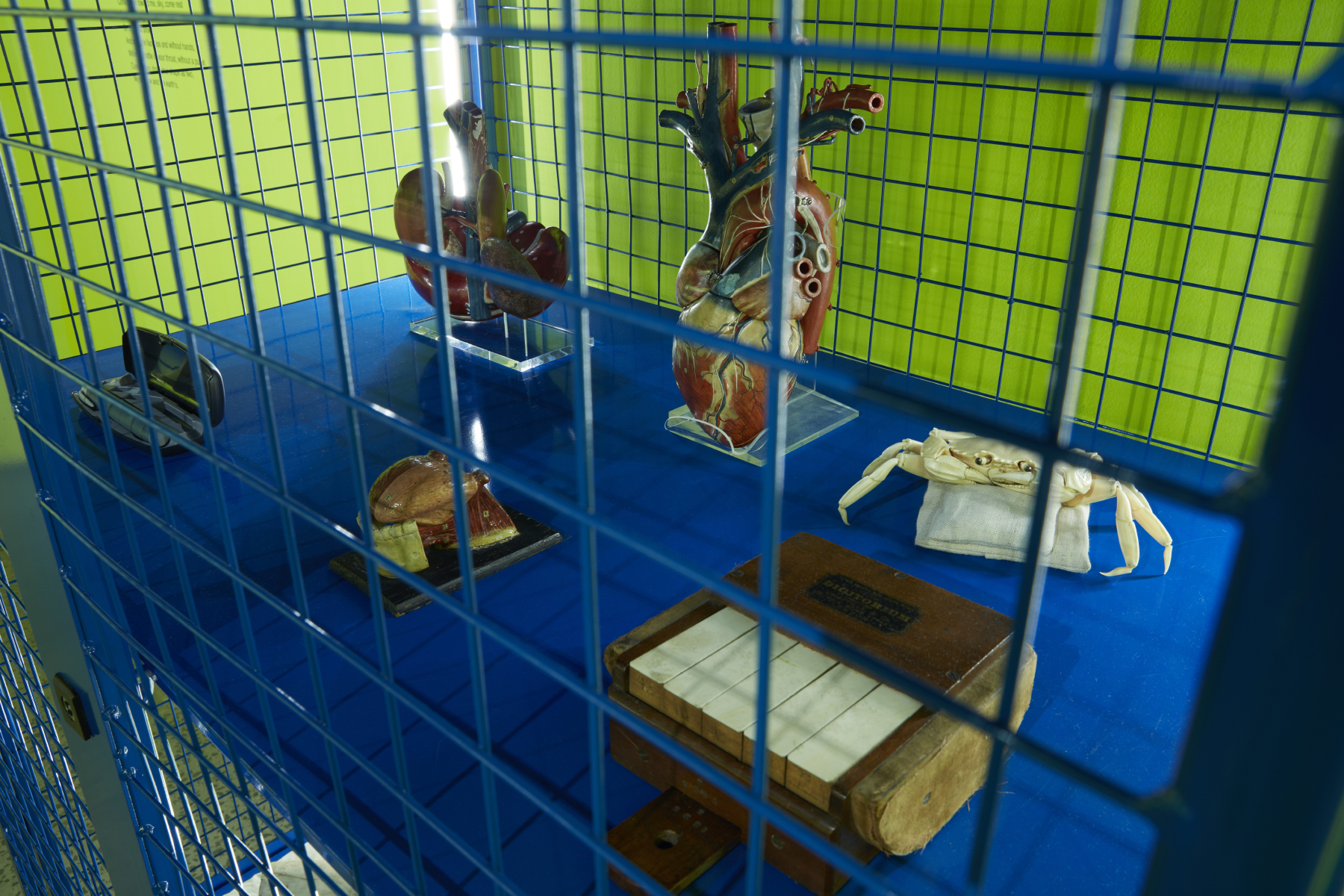 A close up view of the the 'HumaPen' insulin injector, anatomical models, carved ivory crab and Digitorium finger exercise machine on display in a blue storage cage trolley. The storage cage is locked but the objects are visible through the metal lattice. 
